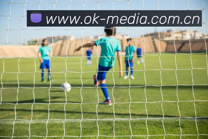 开云手机入口登录官网平台生态图